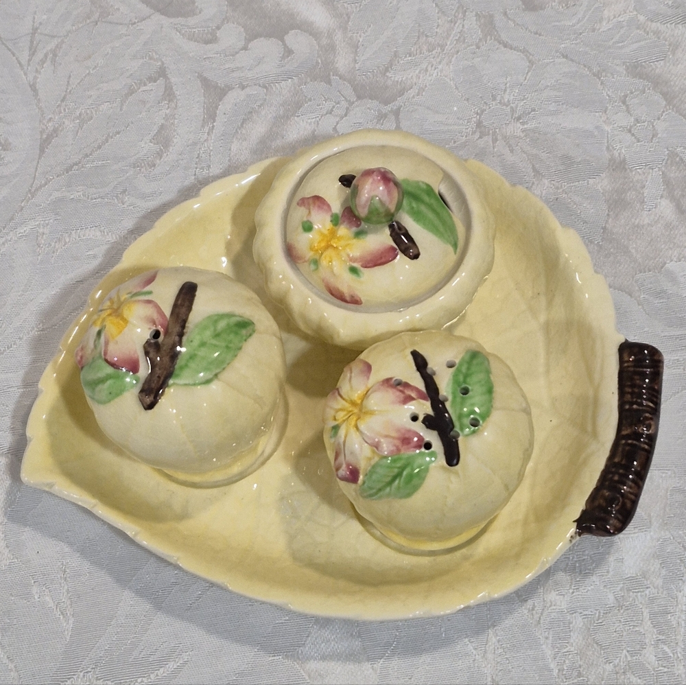 Carlton Ware Cruet Set Apple Blossom Pattern